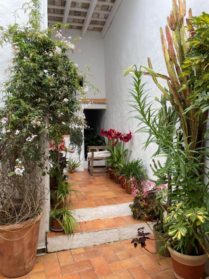 Casa Dulce Holiday home Vejer de la Frontera